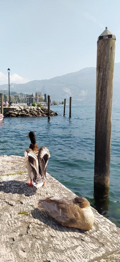 Riva Del Garda Nest公寓 外观 照片